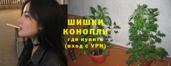 амф Богородицк