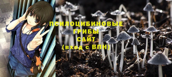 дмт Богородск