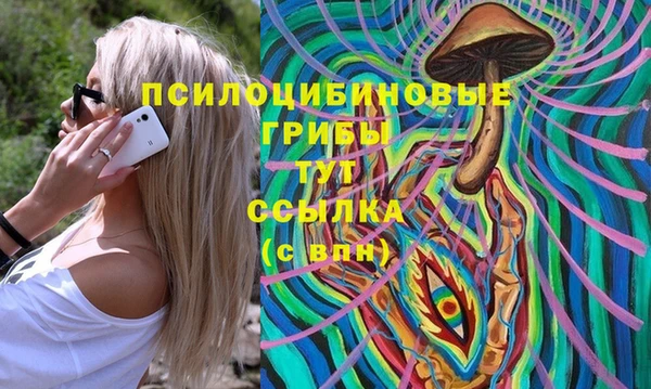 амф Богородицк