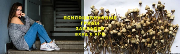 амф Богородицк