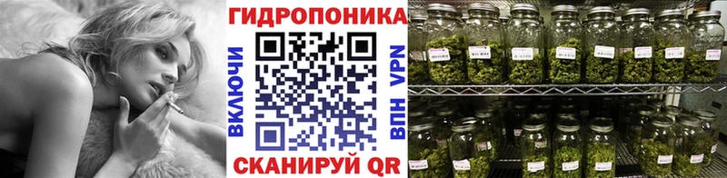 Марихуана Amnesia  кракен ссылки  Миллерово 